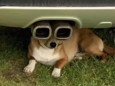 dedtvoegodeda dog under car with two pipes 3D model
