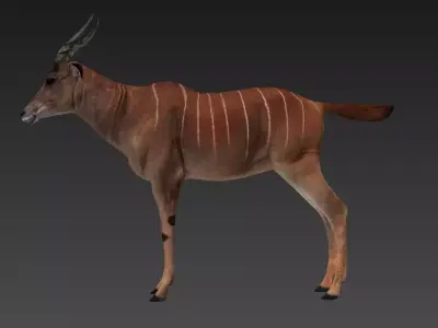 antelope Low-poly 3D model