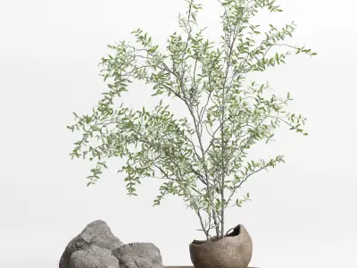 Pulm branch in dirty brown concrete vase - bouquet set 37 Low-poly 3D model