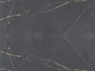 Graphite Nero Marble with Gold Veins  Texture