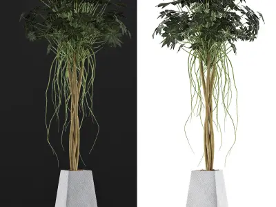 Plants Collection 66 3D model