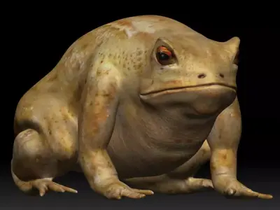 Cane Toad bullfrog Low-poly 3D model