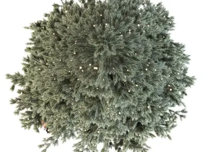 Christmas fir tree with gifts and garland 3D model