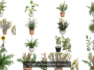 Pot Plants and Flowers Bundle 3D Model Collection