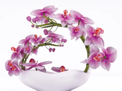 Orchids in bowl 3D model