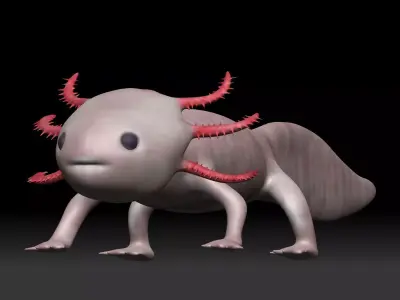Axolotl arachnid Low-poly 3D model