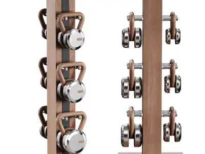 Lova Vertical Kettlebell Set Full 3D model