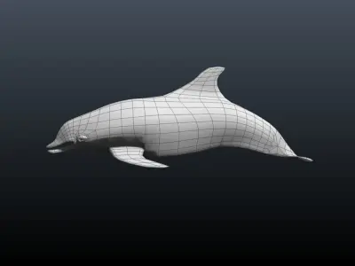 dolphin Low-poly 3D model