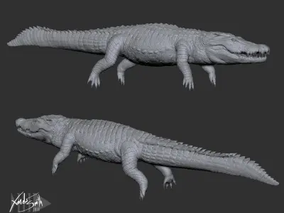 Nile Crocodile 3D Model LowPoly SubD HighPoly Decimated Low-poly 3D model