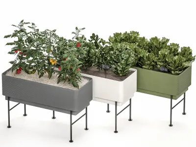 Home mini-garden in a pot in the kitchen 526 3D model