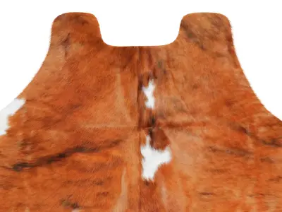 Tricolor Cowhide Rug A26876 3D model