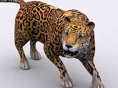 3DRT - Jaguar Low-poly 3D model