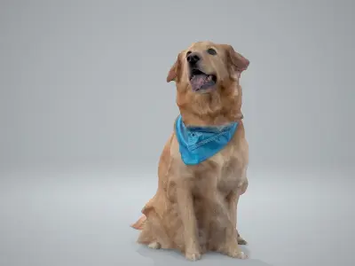 Sitting Dog Labrador Dog0002-HD2-P01-S 3D model