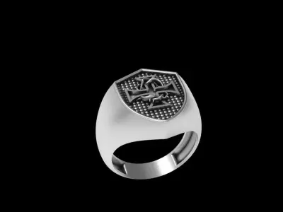 Mens Ring 001  3D print model