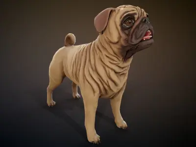 Pug low-poly Low-poly 3D model