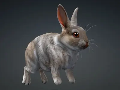 Rabbit-A3 3D model