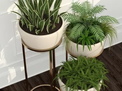 plant 39 Room plants 14 3D model