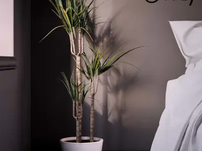 Indoor Plant 3d Model - Interior Draecaena Species Free 3D model