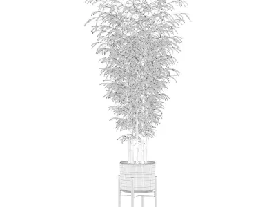 Bamboo in modern pot 3D model