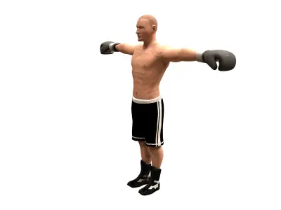 boxer rig Low-poly 3D model