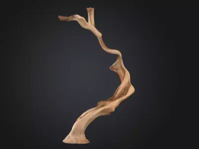 Twisting Elegance Wood Low-poly 3D model