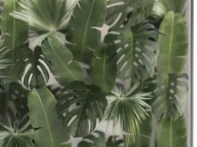 Vertical Garden In A Phyto Box Of Plant Leaves 3D model