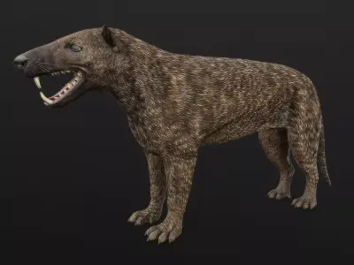 Hyaenodon horridus Low-poly 3D model