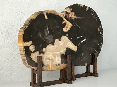 Black Petrified Wood Slices 3D model