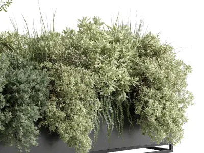 Box Plants on Stand collection of houseplants indoor metal vase 3D model