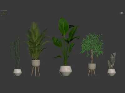 20 Photorealistic Flowers for Interiors - set 119 126 132 139 3D Model Collection