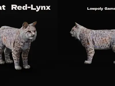 Bobcat Red Lynx Low-poly 3D model