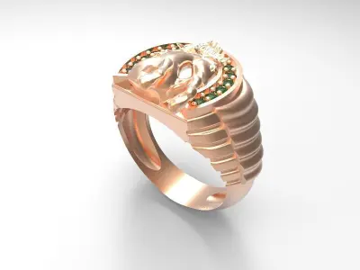 Anillo Herradura 3D model