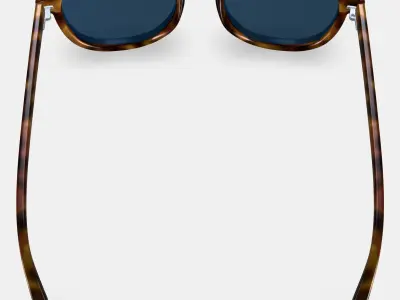 Blaise Sunglasses in Woodgrain Tortoise 3D model