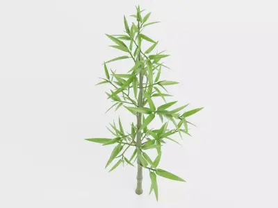 Bamboo Plant - Stem with Leaves Low-poly 3D model