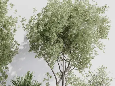 indoor plant set 387 plant tree palm bush concrete dirt vase Low-poly 3D model