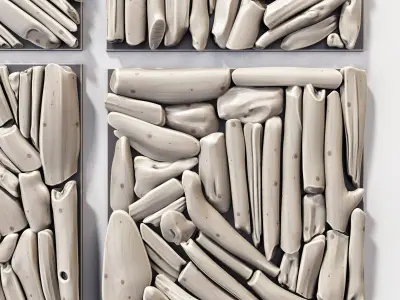 Rectangle  panel branch splinter Big n6 3D model