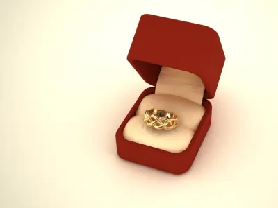 Jewelry PLAT  Ring 3D print model