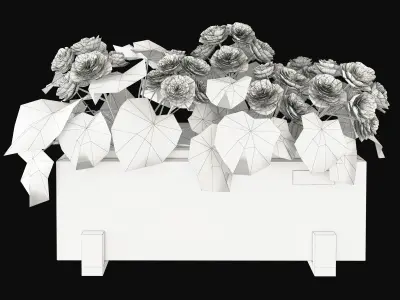 Begonia planter 3D model