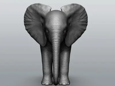 Wild Baby animal collection  5 animals 3D model