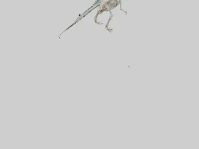chthyosaurus Skeleton model Low-poly 3D model