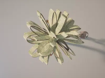 Conceptual palm tree S1Cv2 Low-poly 3D model