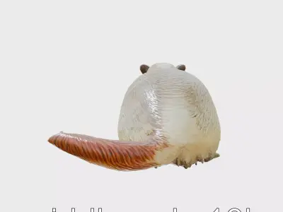 Lifelike Nutria 3D Model with Detailed Fur Low-poly 3D model