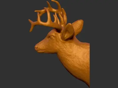 Raindeer Head 3D print model