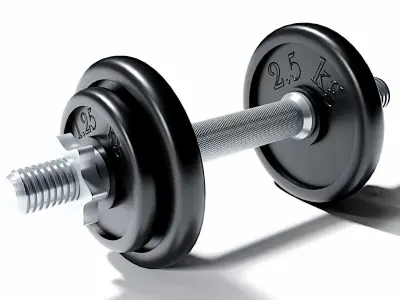 Dumbbell 3D model buy