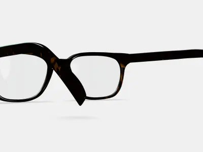 Hector Eyeglasses in Whiskey Tortoise 3D model