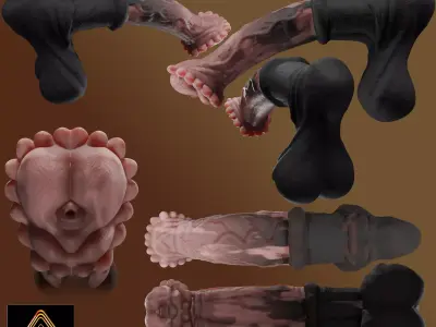 Anatomy Horse Rigged Penis Highpoly and Lowpoly Low-poly 3D model