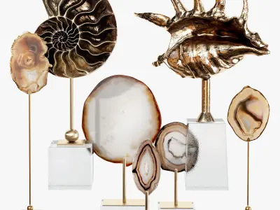 Sea shell decorative set 02 3D model