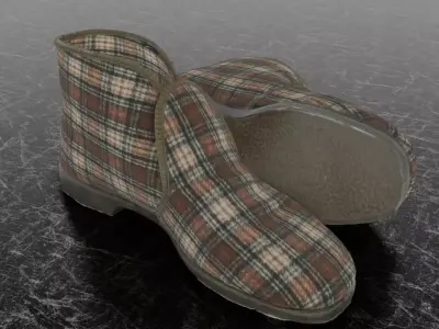 REINO TOSSUT SLIPPER 3D 3D model
