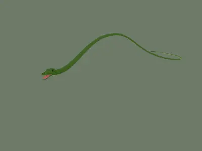 Snake 3D model