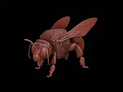 Bee Animal Sculpture 3D print model